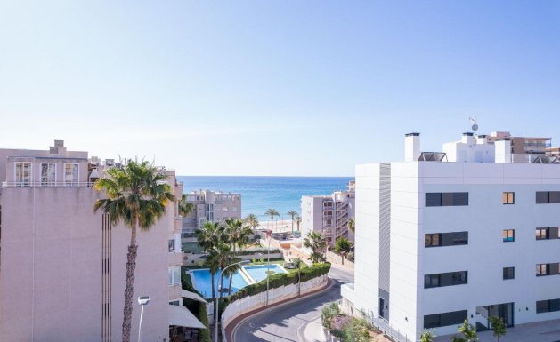 Apartamento - Nueva construcción - El Campello -
                El Campello