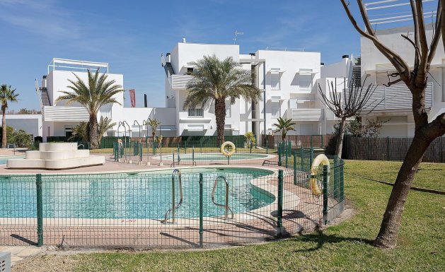 Appartement - Neuf - Vera - Vera