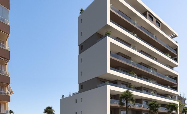 Atico - Nueva construcción - Guardamar del Segura -
                Guardamar del Segura