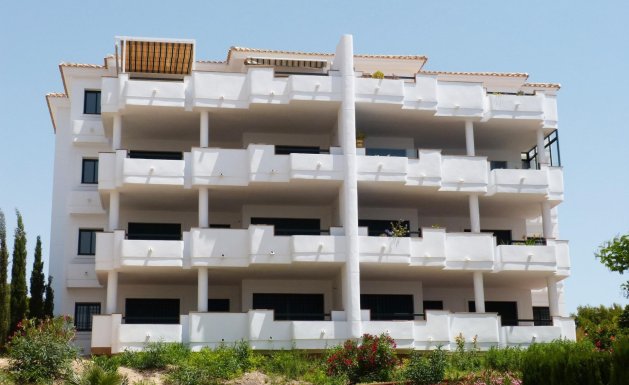Atico - Nueva construcción - Orihuela Costa - Orihuela Costa
