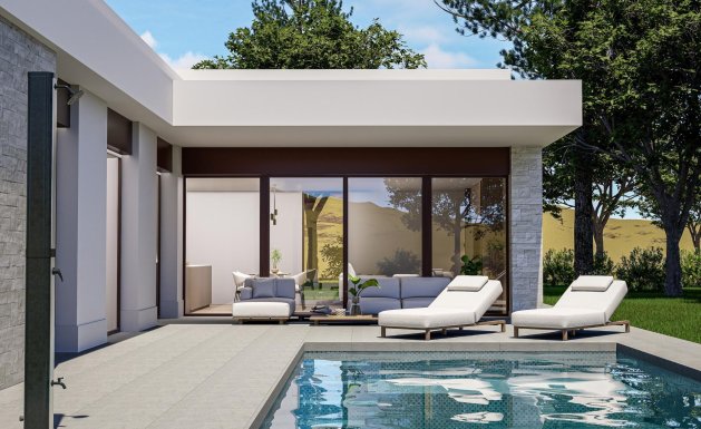 Chalet - Nueva construcción - Pinoso -
                Pinoso