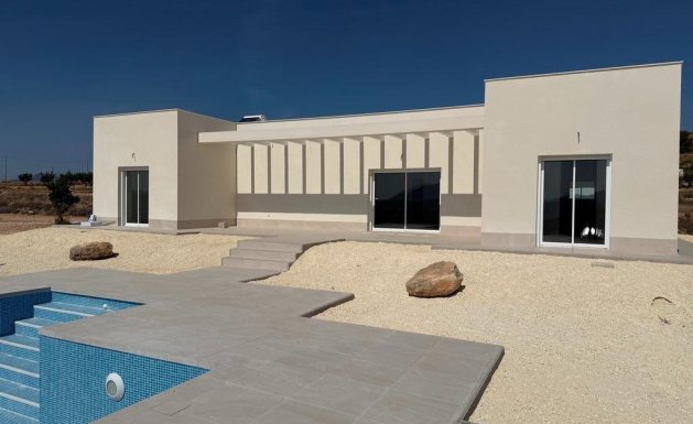 Chalet - Nueva construcción - Pinoso - Pinoso