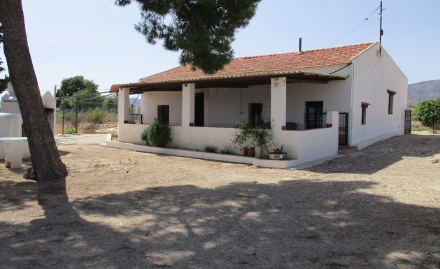 Chalet - Venta - CREVILLENTE - Crevillente