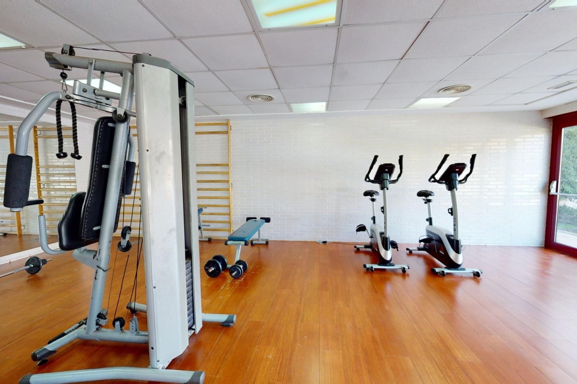 Neuf - Appartement - Archena