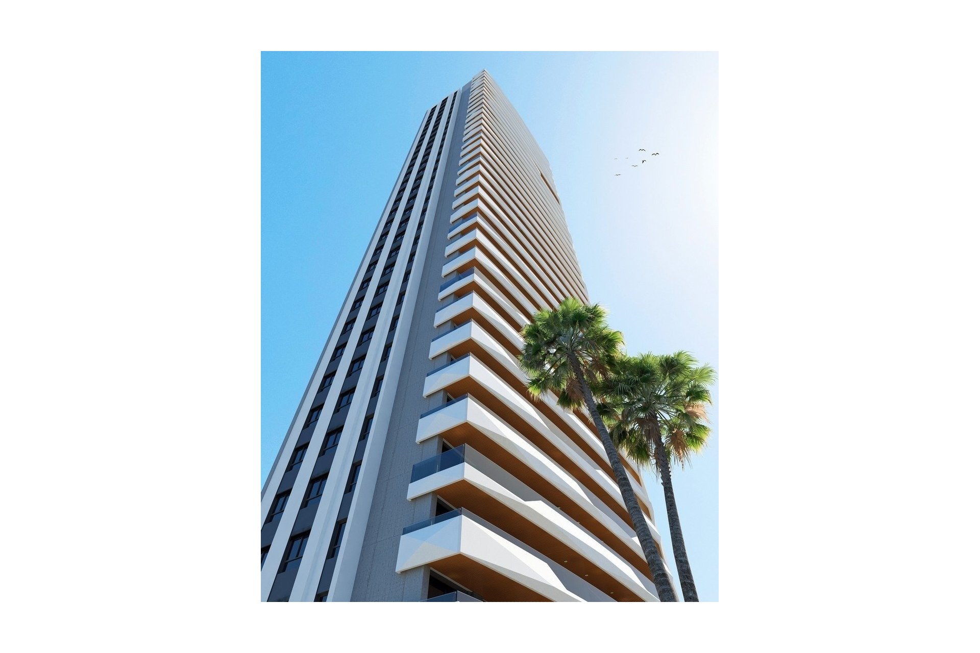 Neuf - Appartement - Benidorm