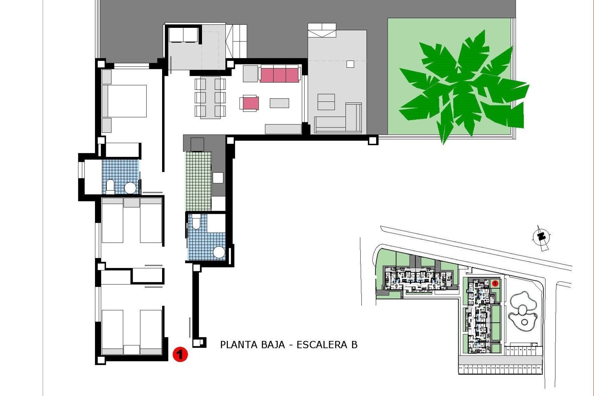 Neuf - Appartement - Denia