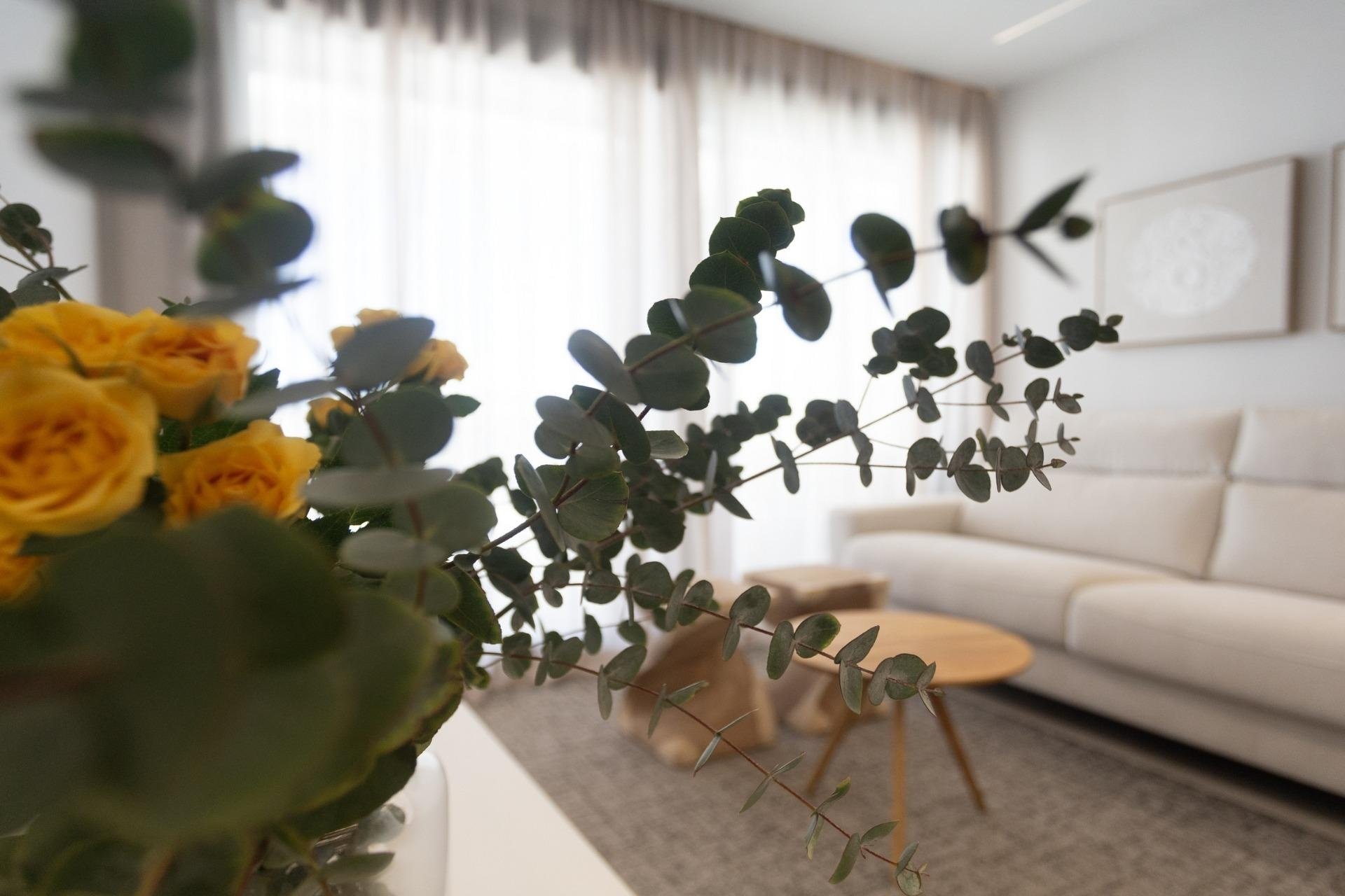 Neuf - Appartement - Denia