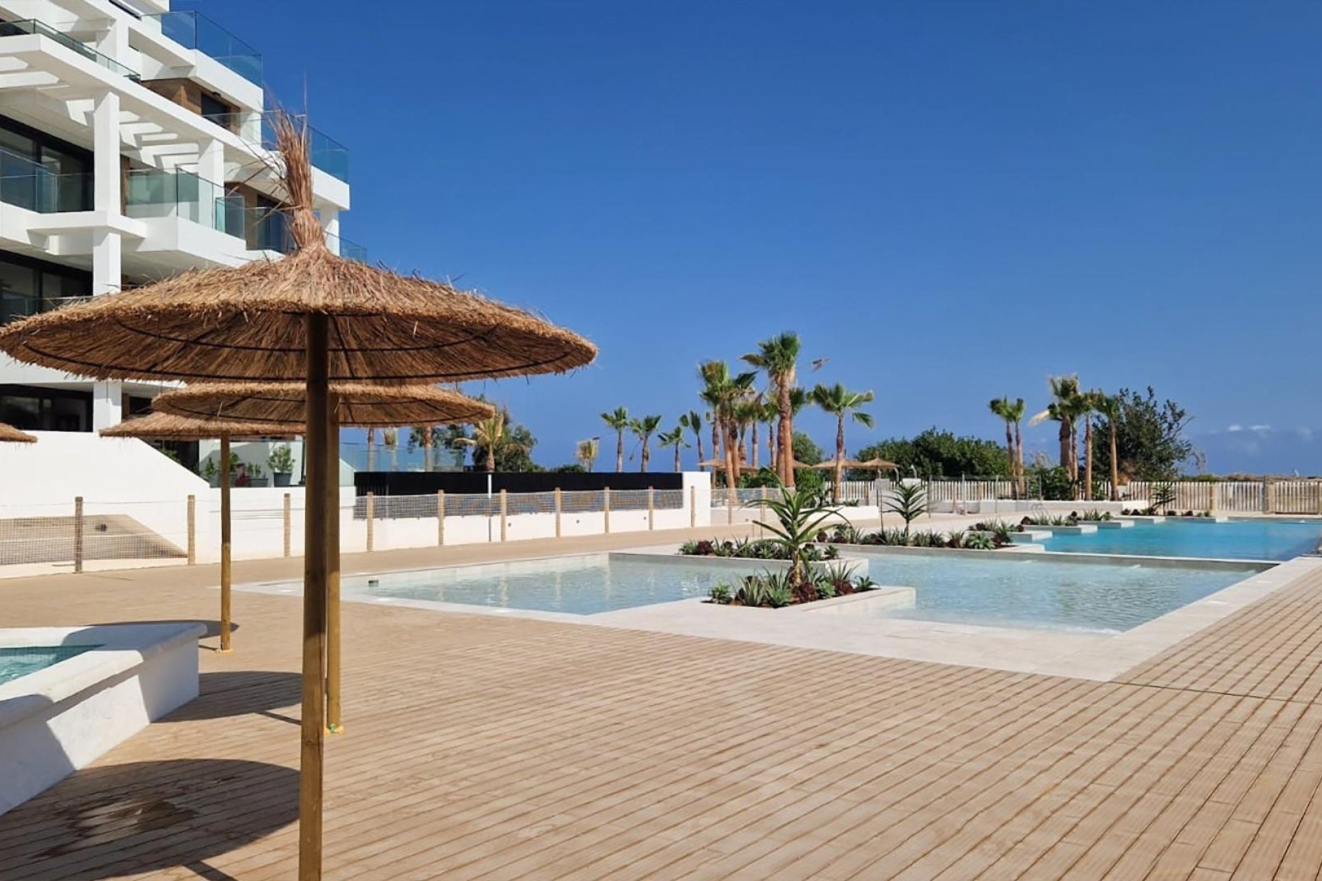 Neuf - Appartement - Denia