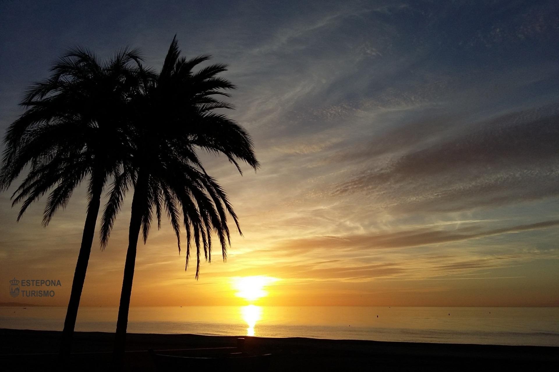 Neuf - Appartement - Estepona
