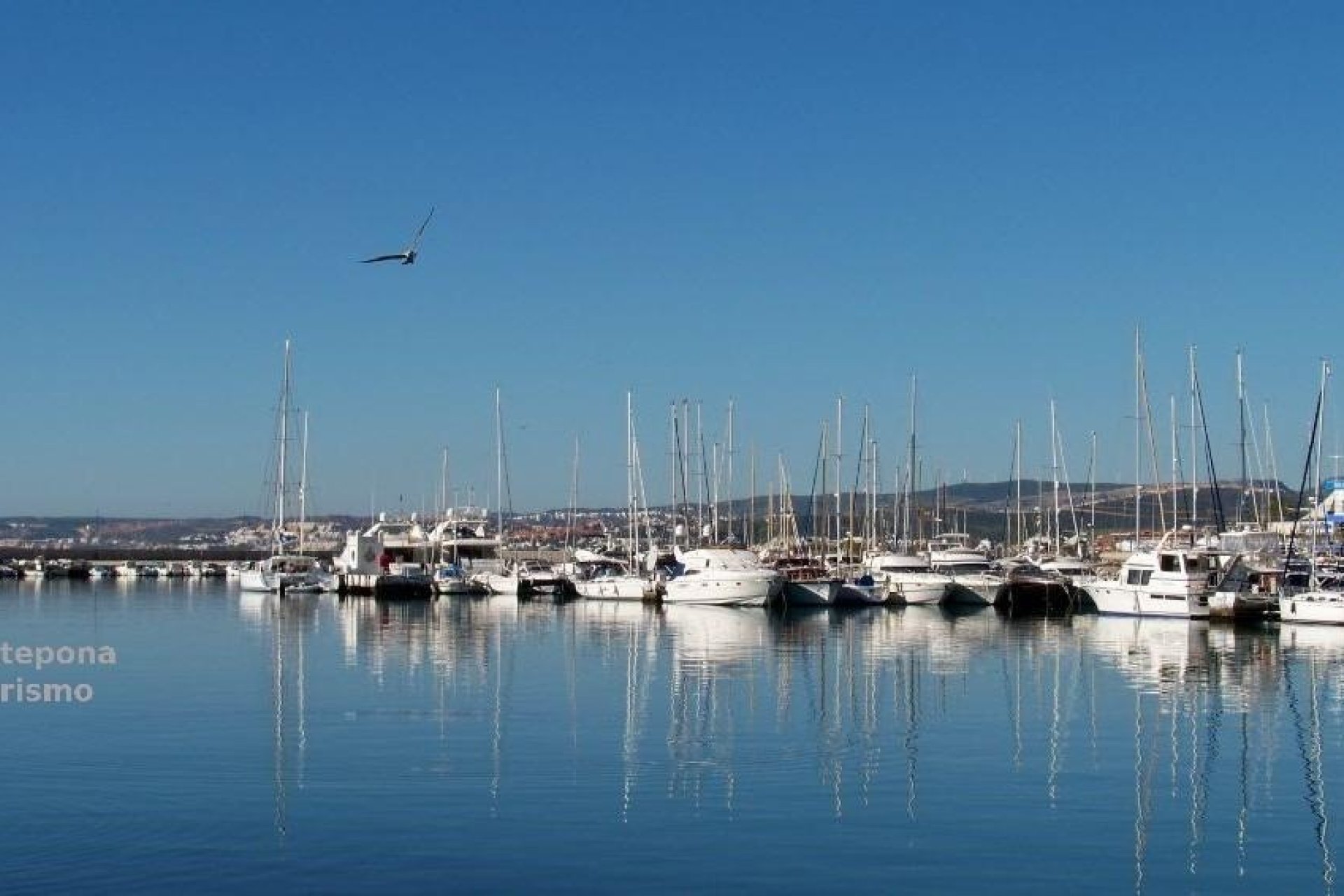 Neuf - Appartement - Estepona