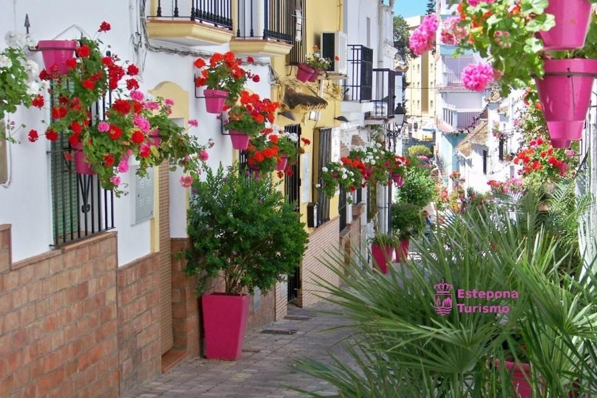 Neuf - Appartement - Estepona