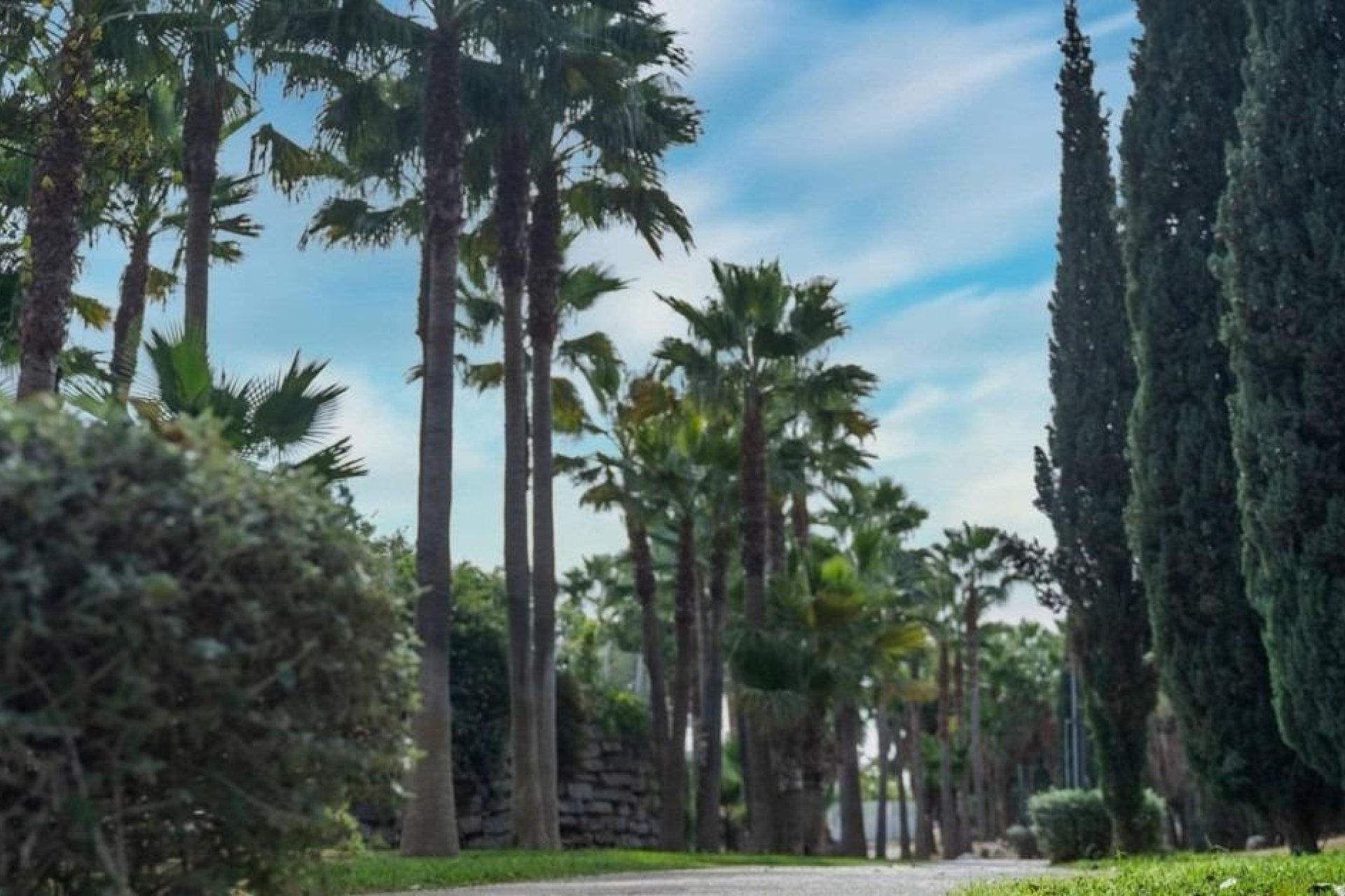 Neuf - Appartement - Fuengirola