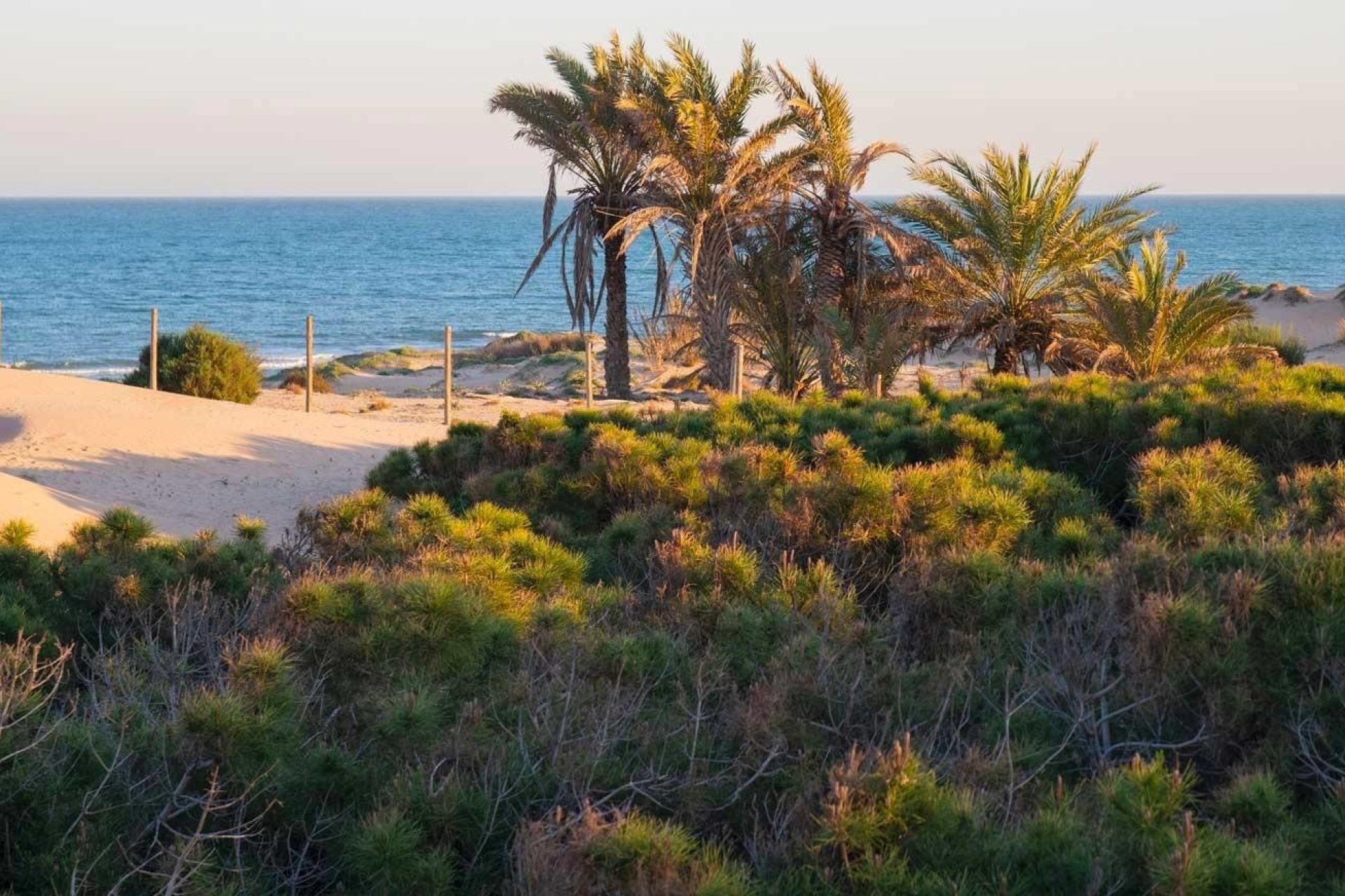 Neuf - Appartement - Guardamar del Segura