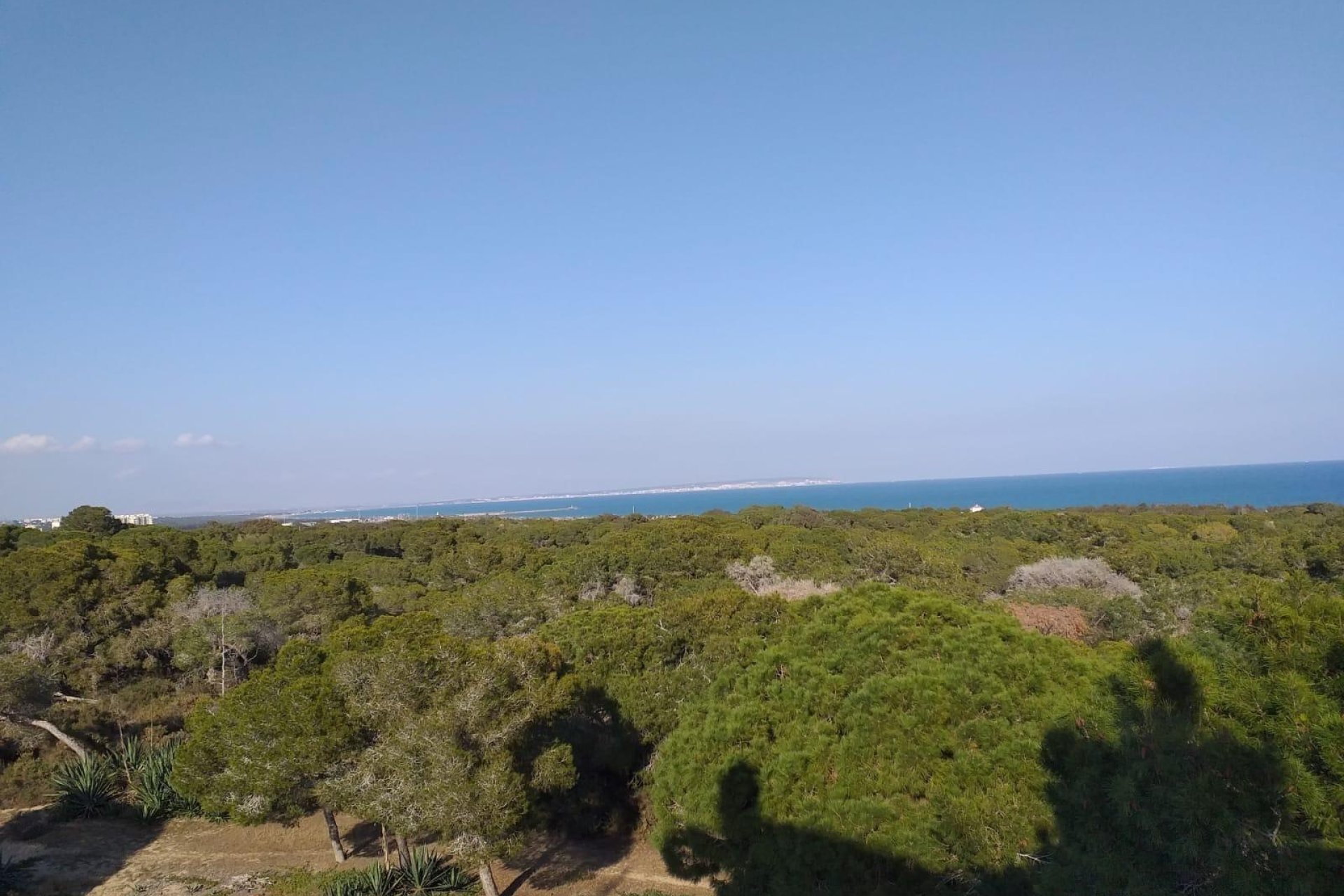 Neuf - Appartement - Guardamar del Segura