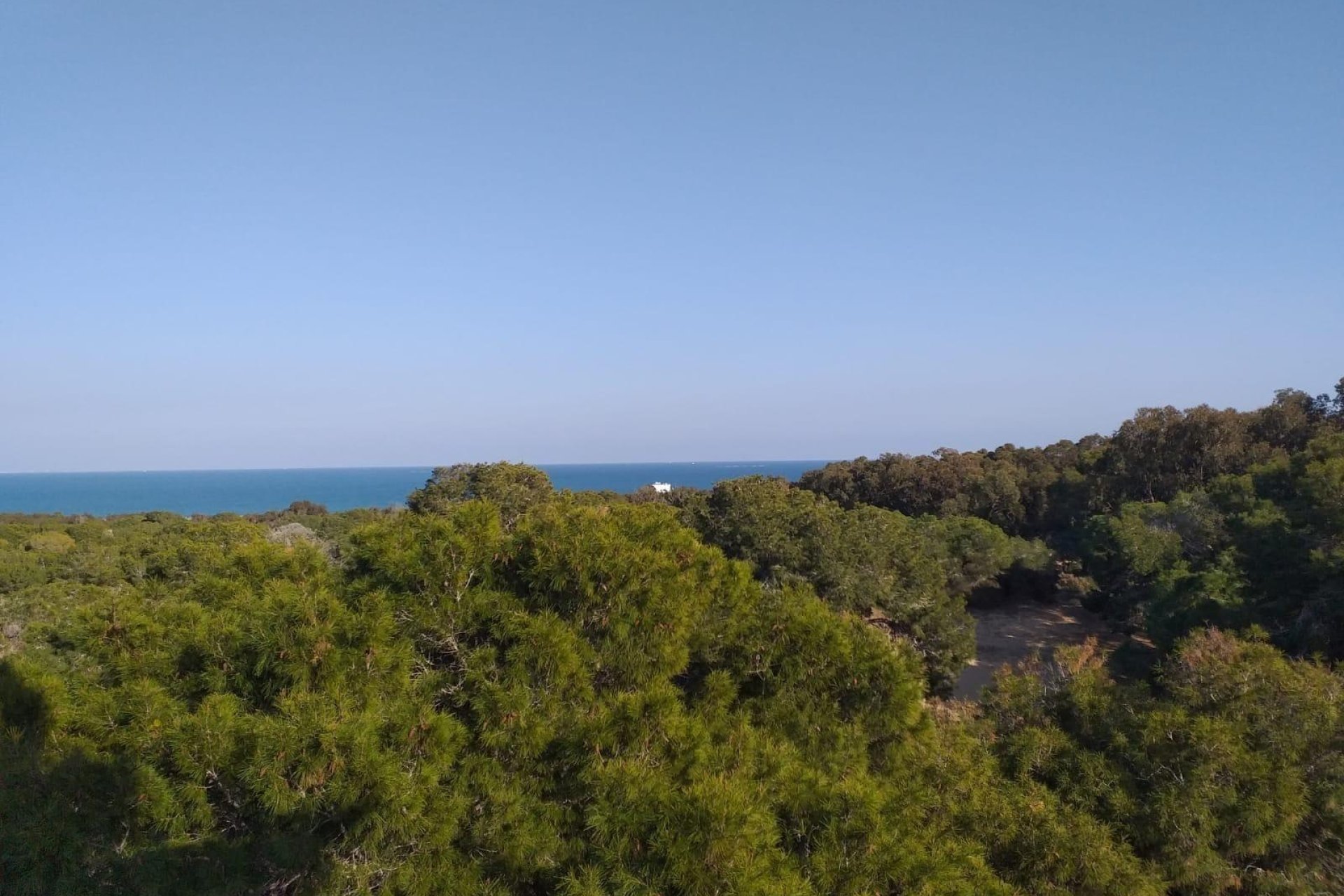 Neuf - Appartement - Guardamar del Segura