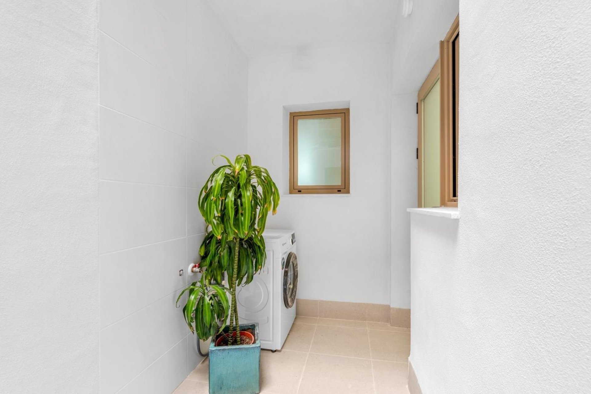 Neuf - Appartement - Jacarilla