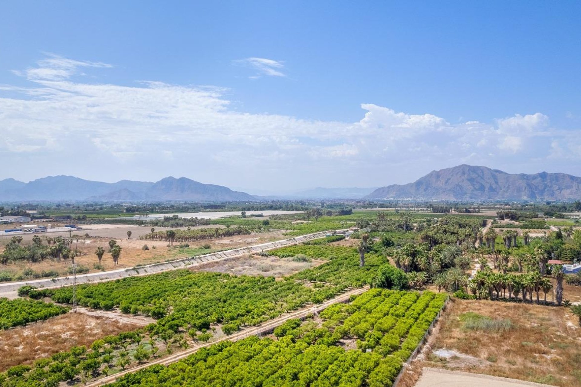 Neuf - Appartement - Jacarilla