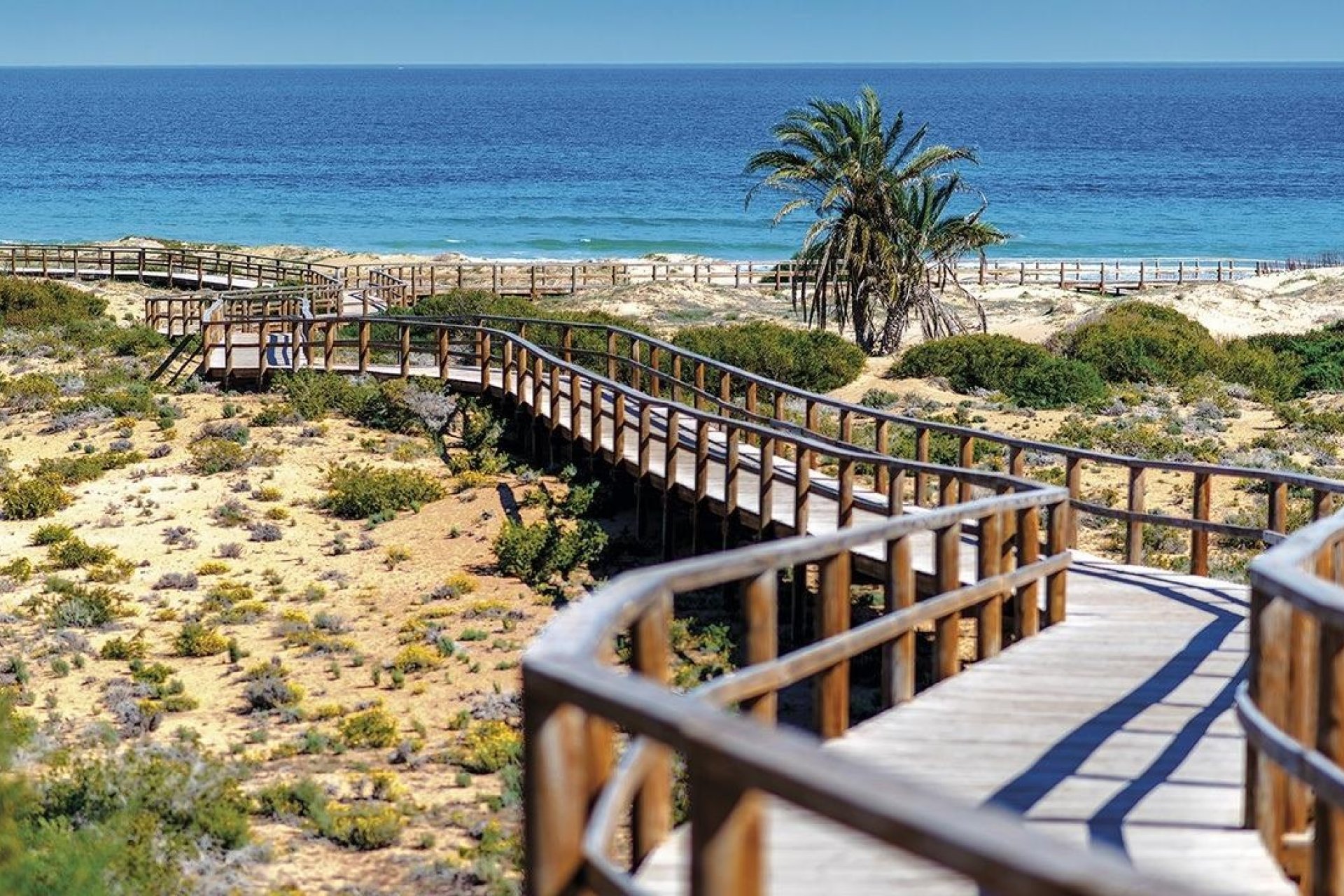 Neuf - Appartement - Monforte del Cid