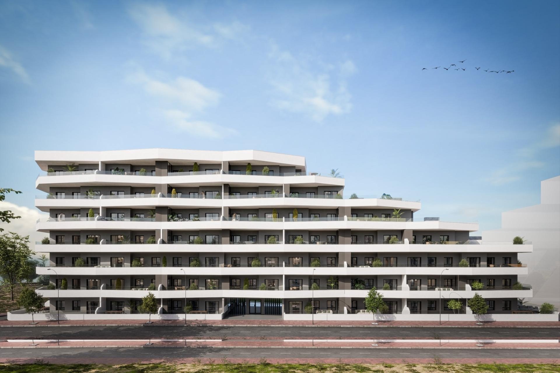 Neuf - Appartement - San Miguel de Salinas