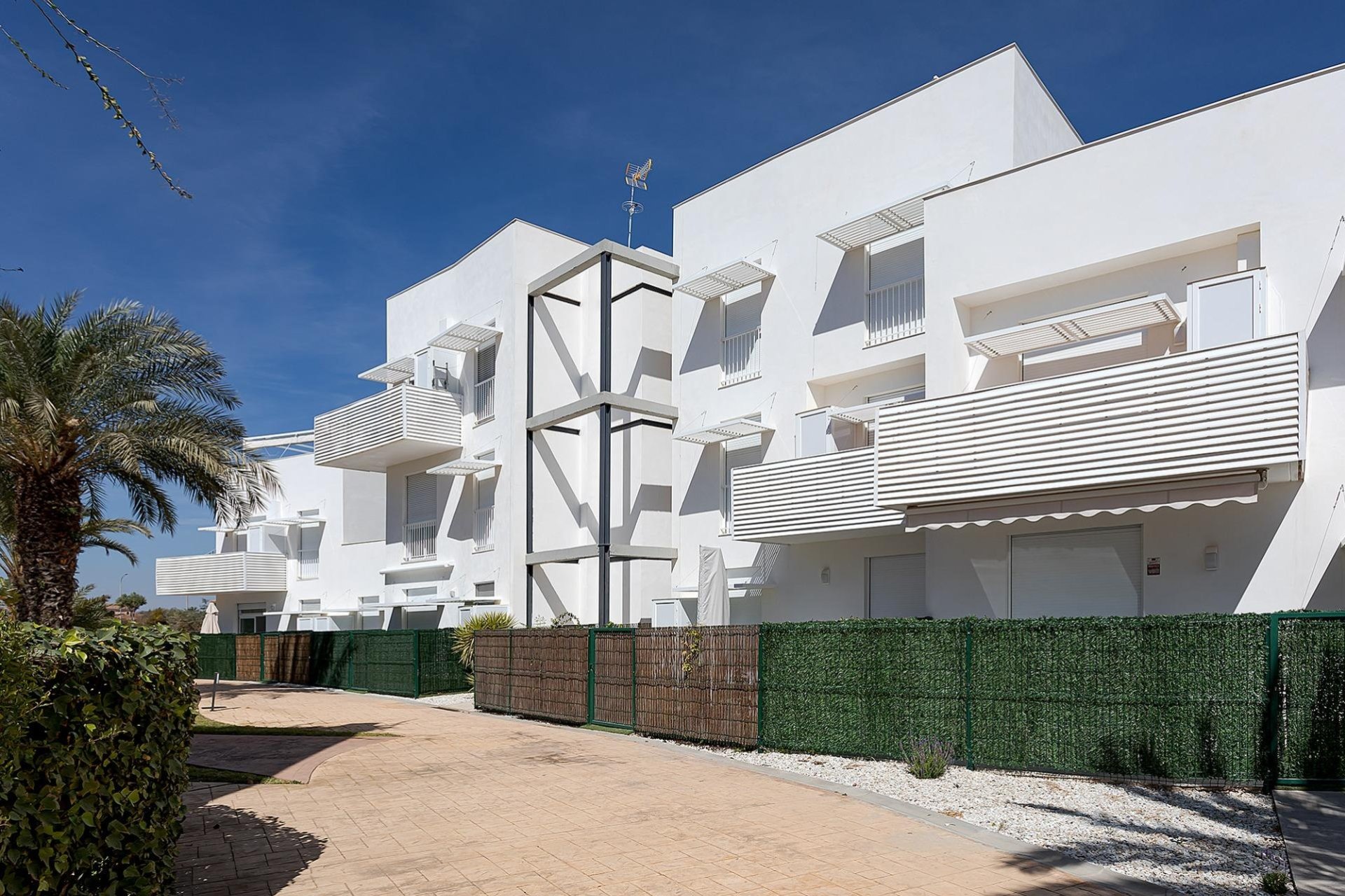 Neuf - Appartement - Vera