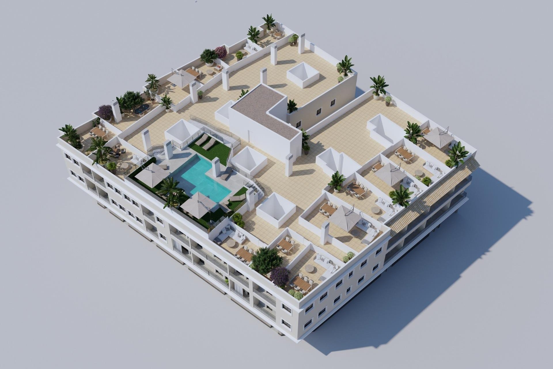 Neuf - Ground floor apartment - Algorfa
