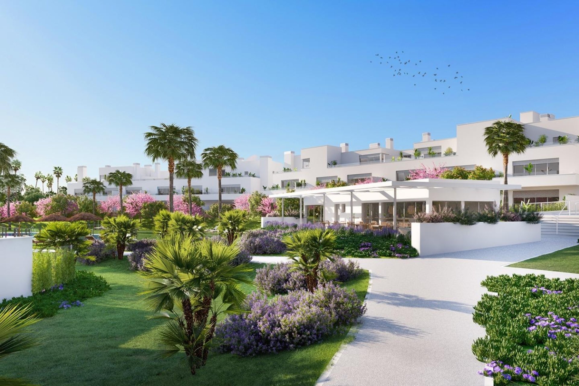 Neuf - Ground floor apartment - Estepona