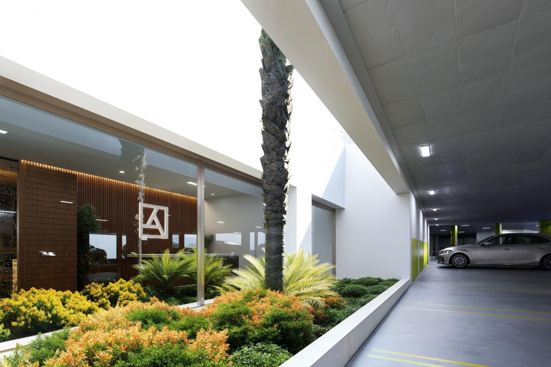 Neuf - penthouse - Los Alcazares