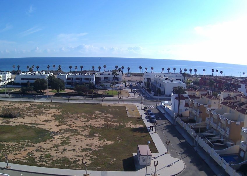Neuf - penthouse - Pilar de La Horadada