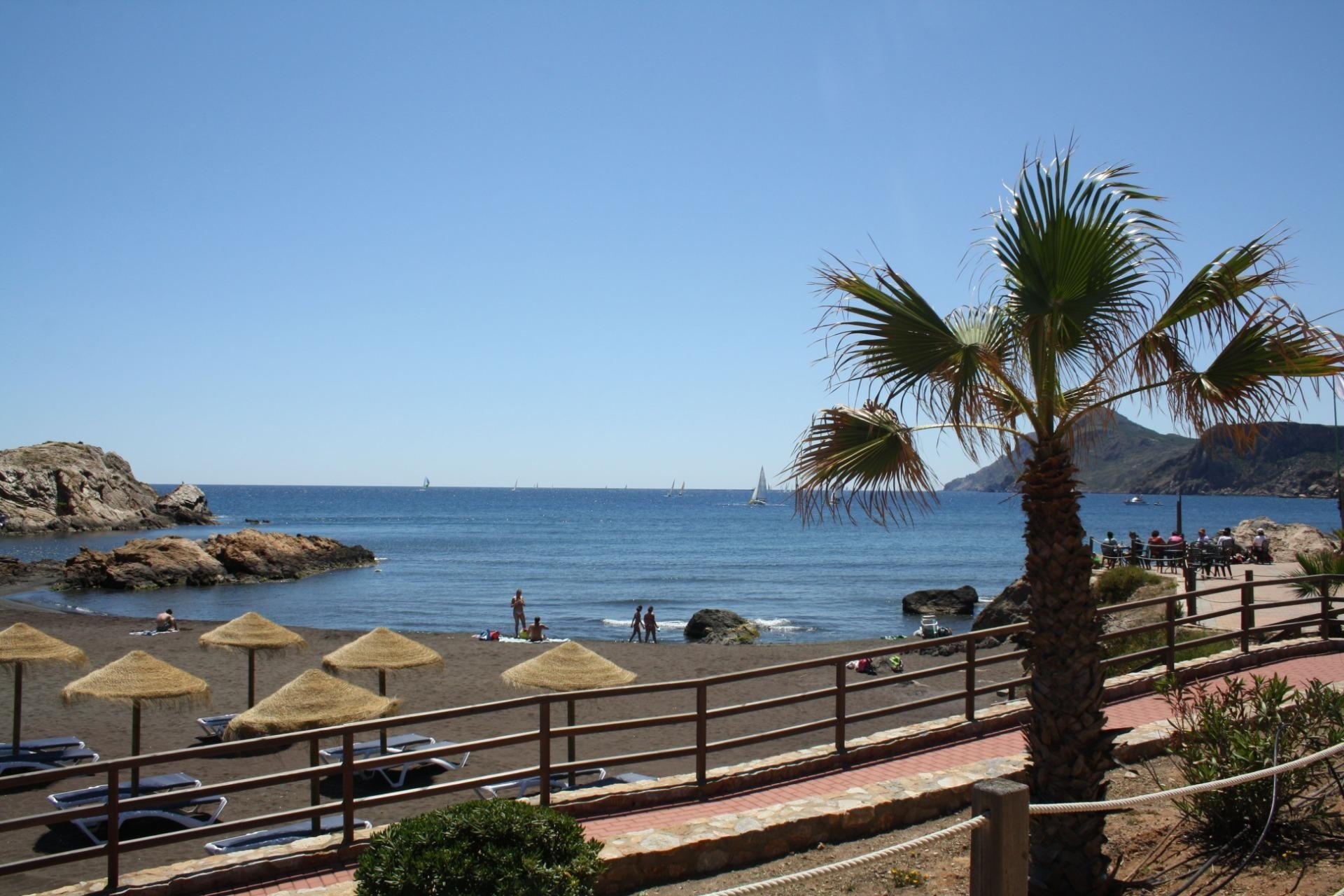 Neuf - Villa Adossée - La Union