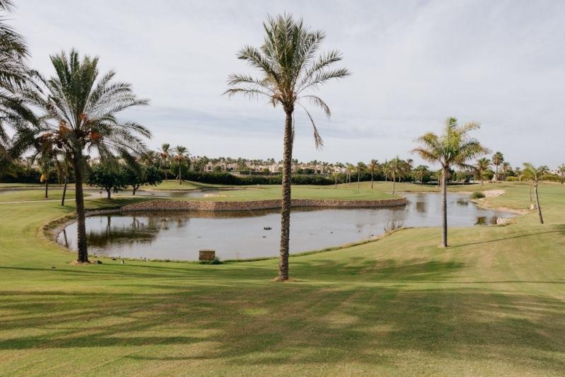 Neuf - Villa Adossée - San Javier