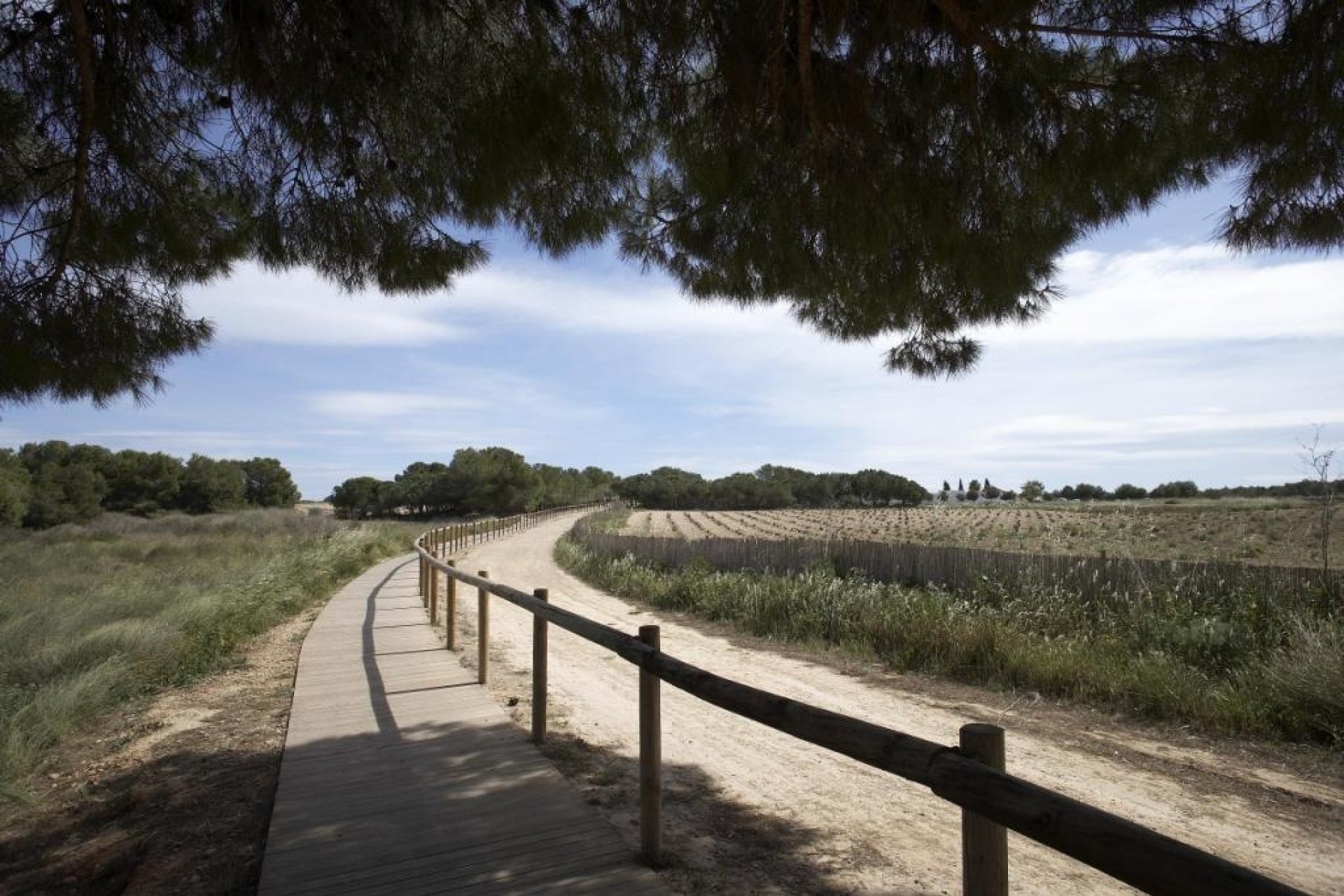Neuf - Villa Adossée - Torrevieja