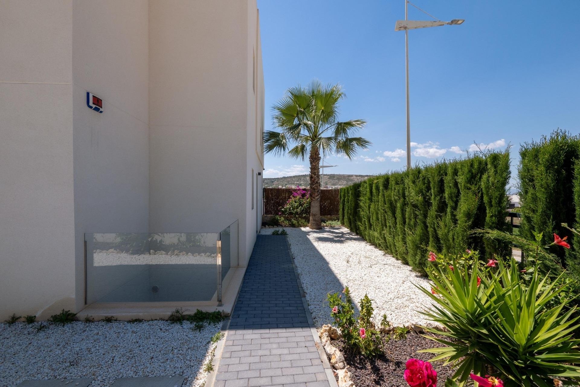 Neuf - Villa  - Algorfa