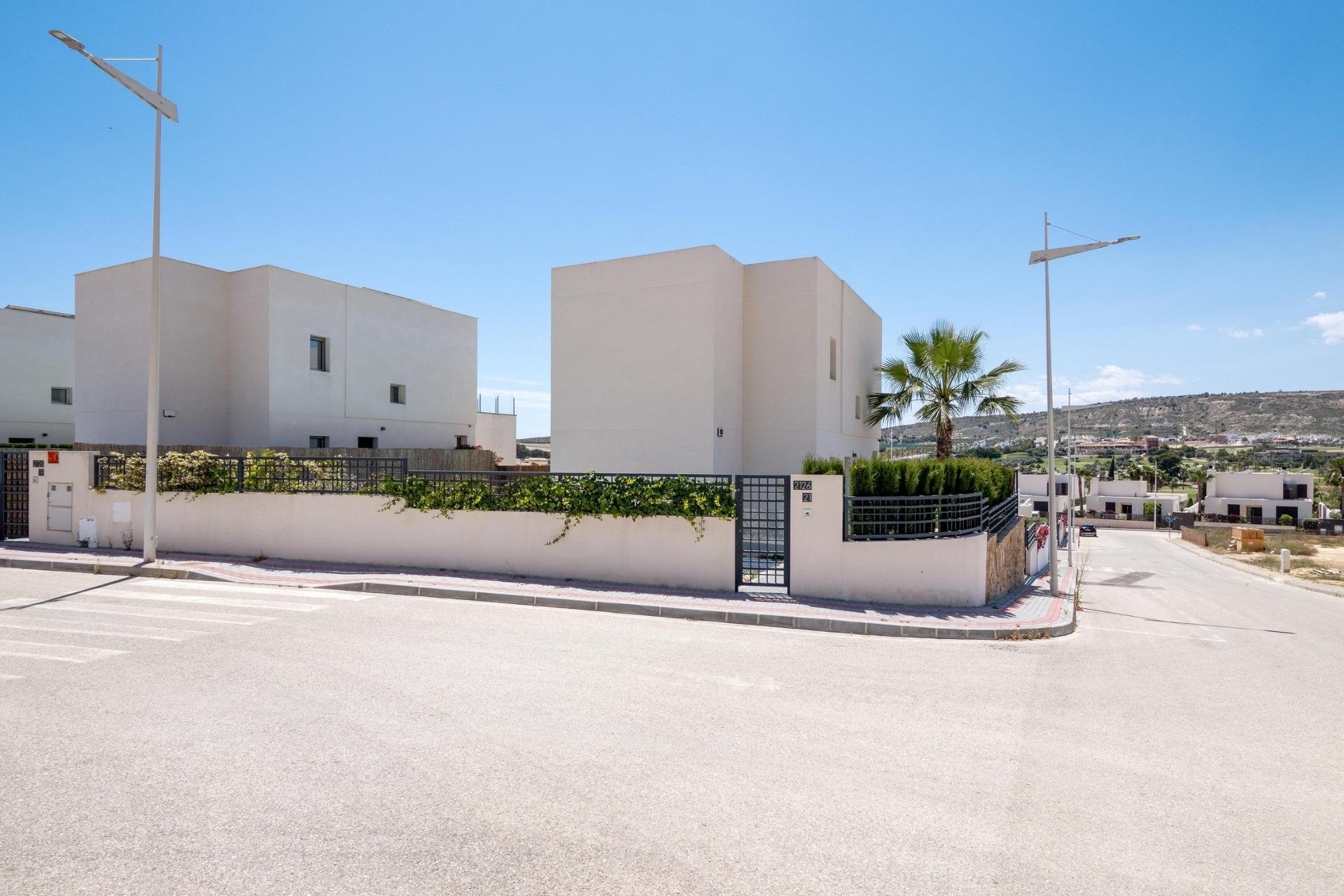 Neuf - Villa  - Algorfa