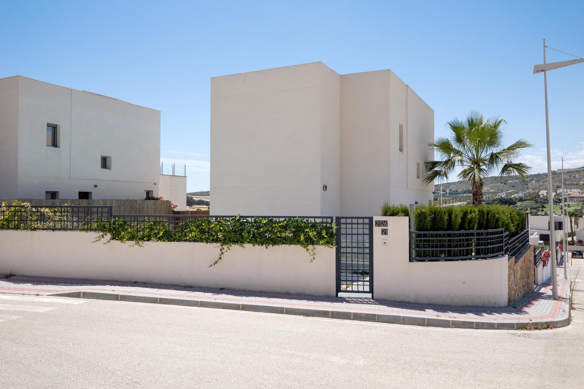 Neuf - Villa  - Algorfa