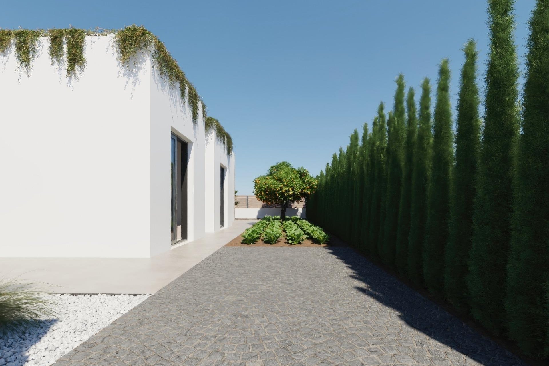 Neuf - Villa  - Fuente Álamo