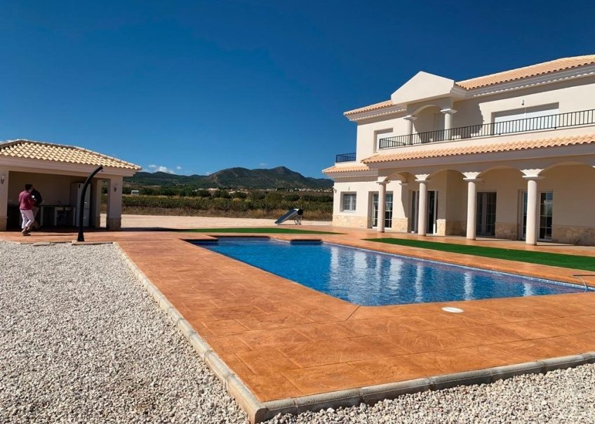 Neuf - Villa  - Pinoso