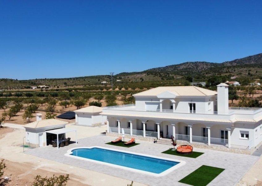Neuf - Villa  - Pinoso
