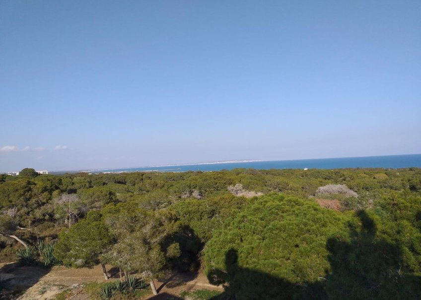 New Build - Apartment - Guardamar del Segura