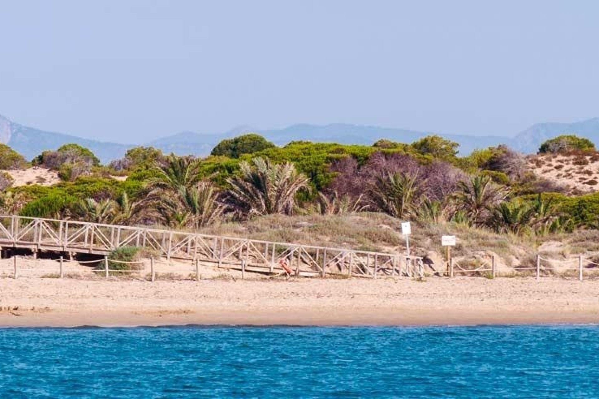 New Build - Apartment - Guardamar del Segura