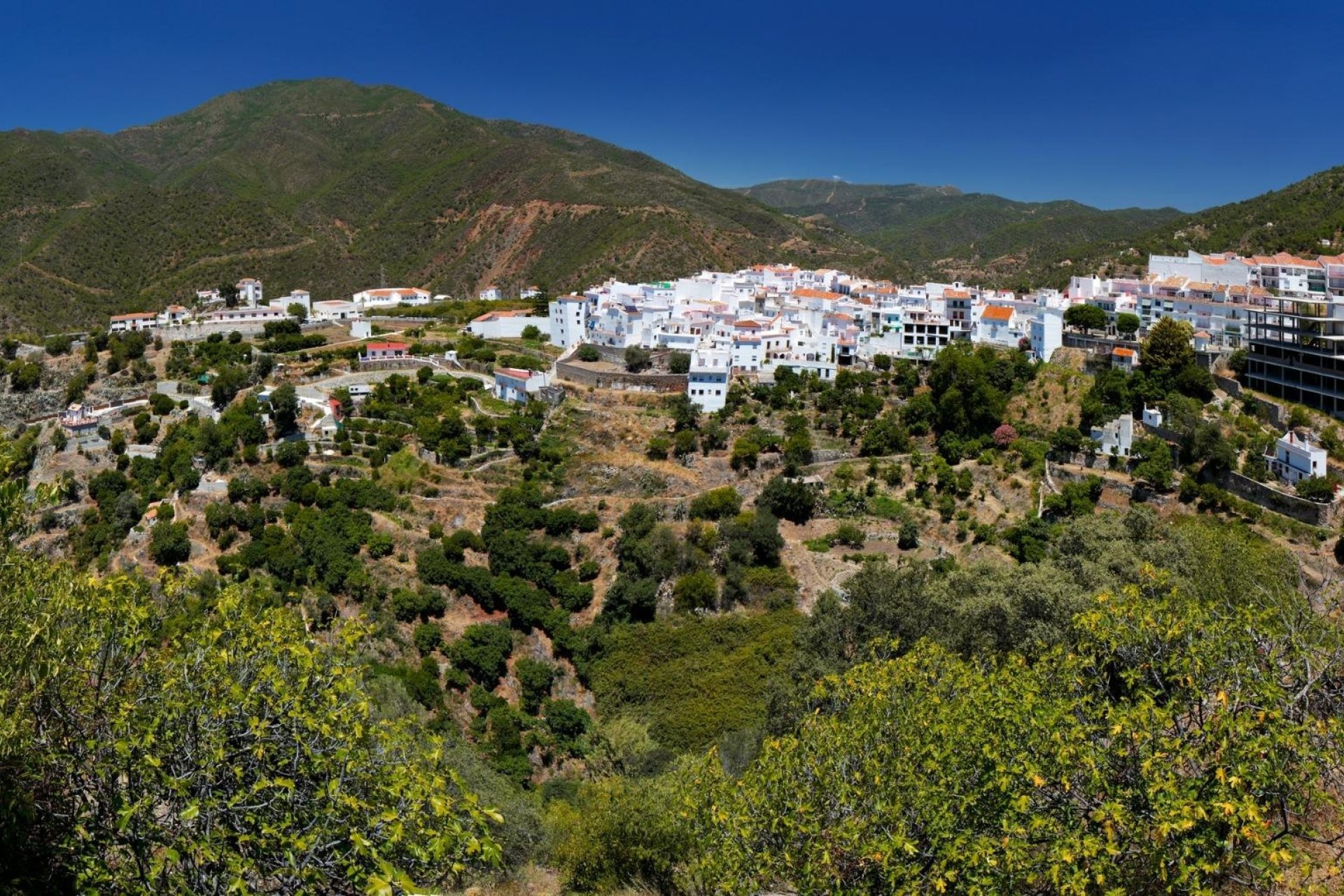 New Build - Apartment - Istán