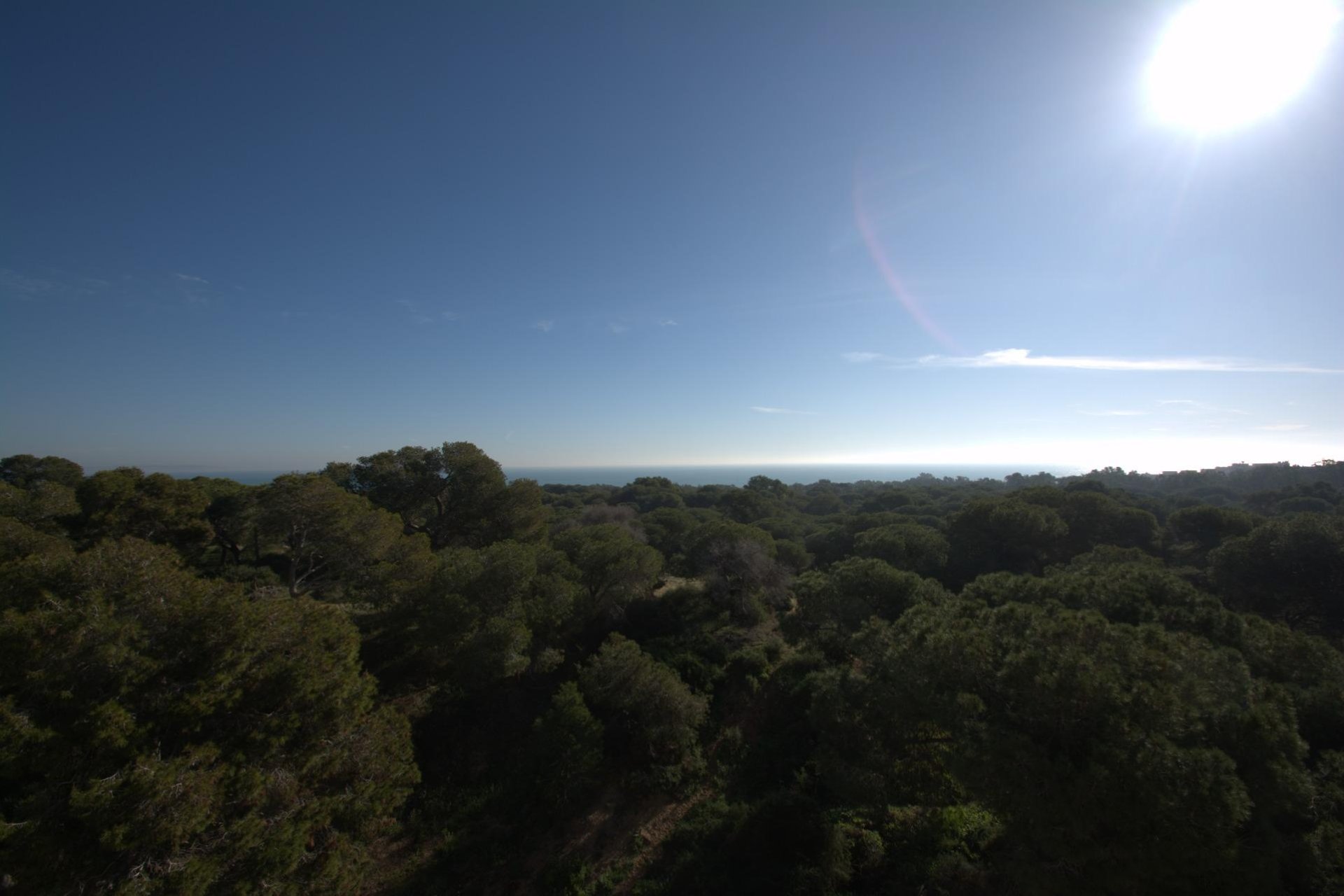 New Build - penthouse - Guardamar del Segura