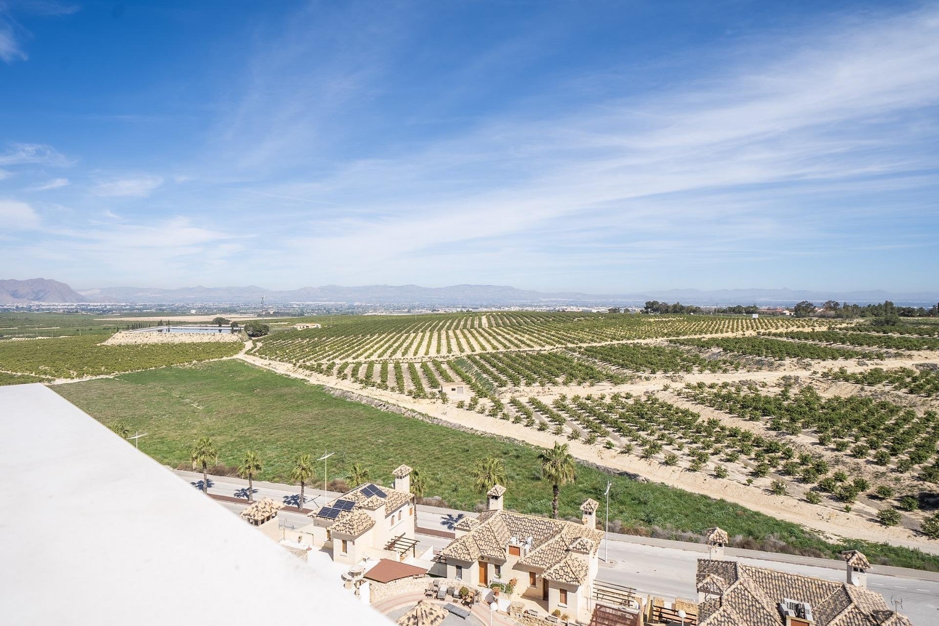 New Build - TOWNHOUSE - Algorfa