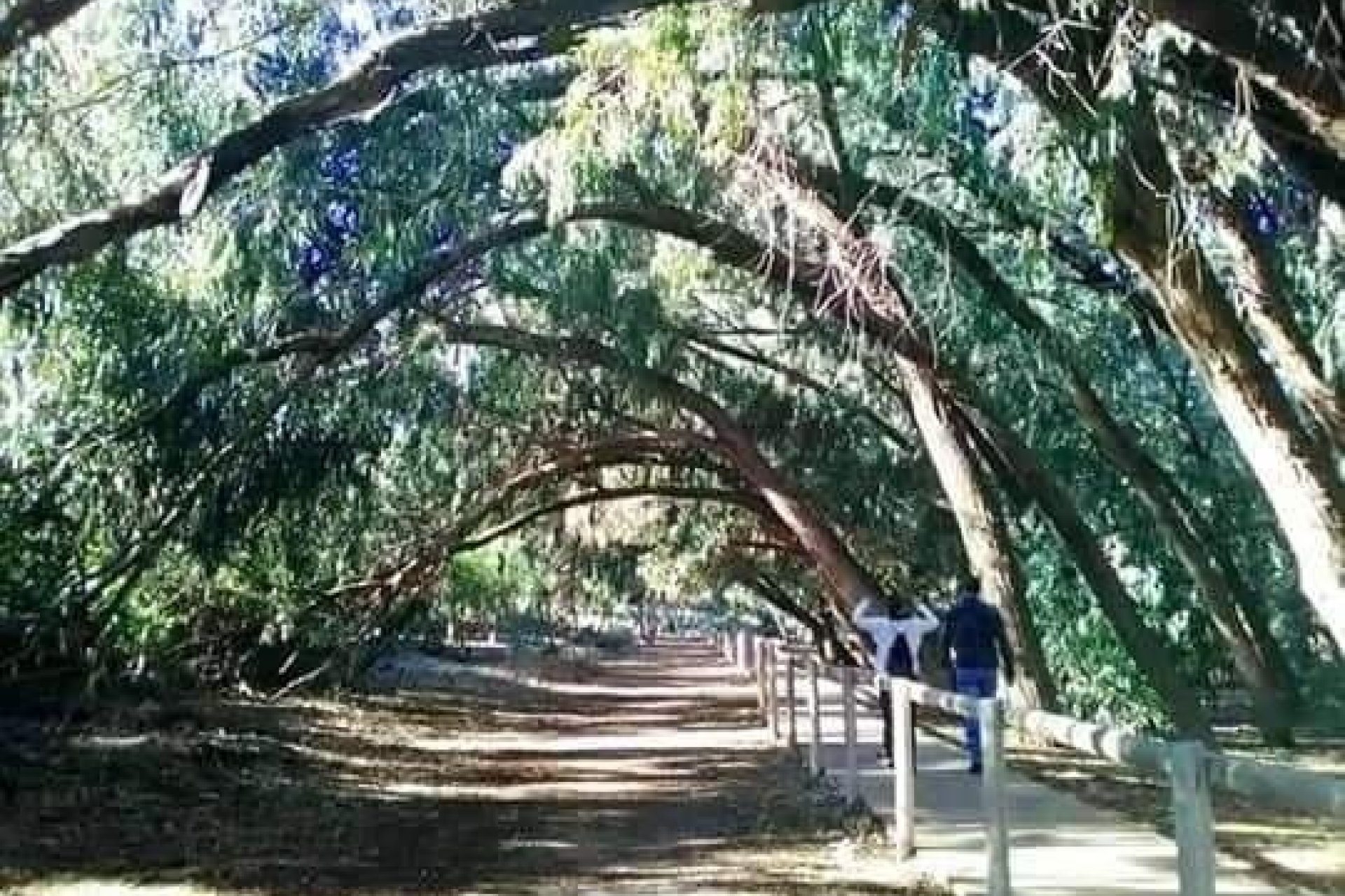 New Build - TOWNHOUSE - Torrevieja