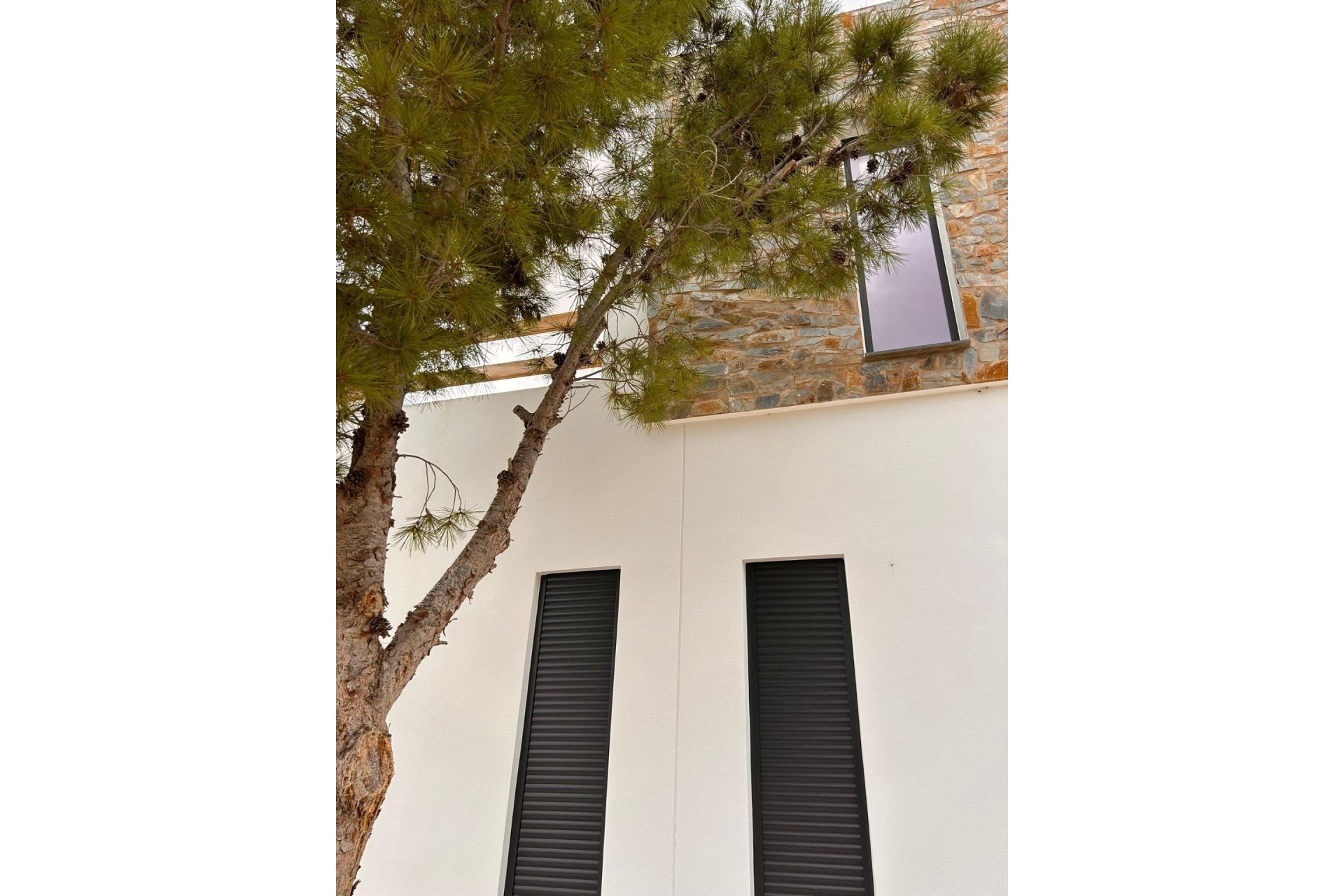 New Build - Villa - Pinoso