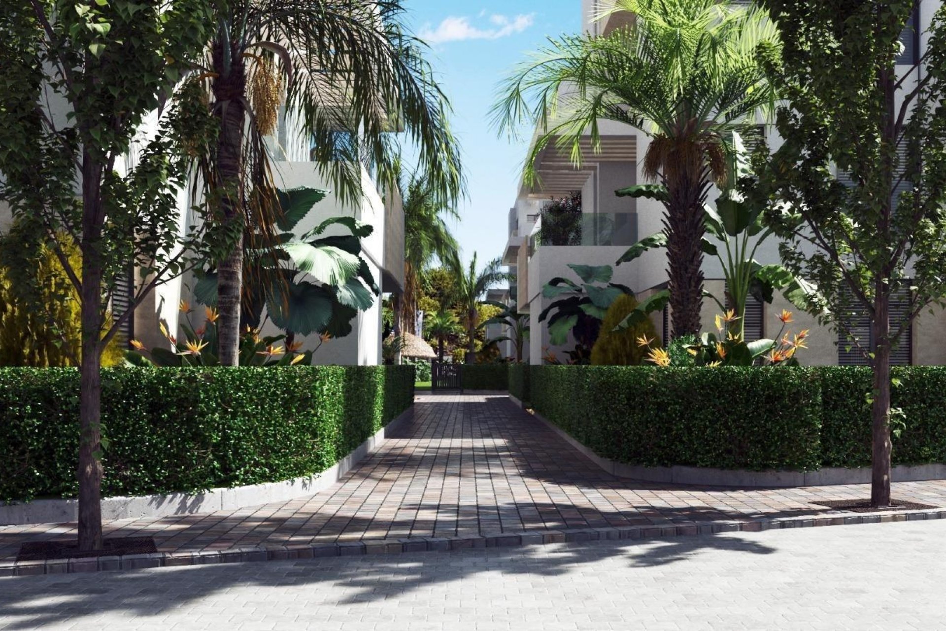 Nueva construcción - Apartamento - Torre Pacheco