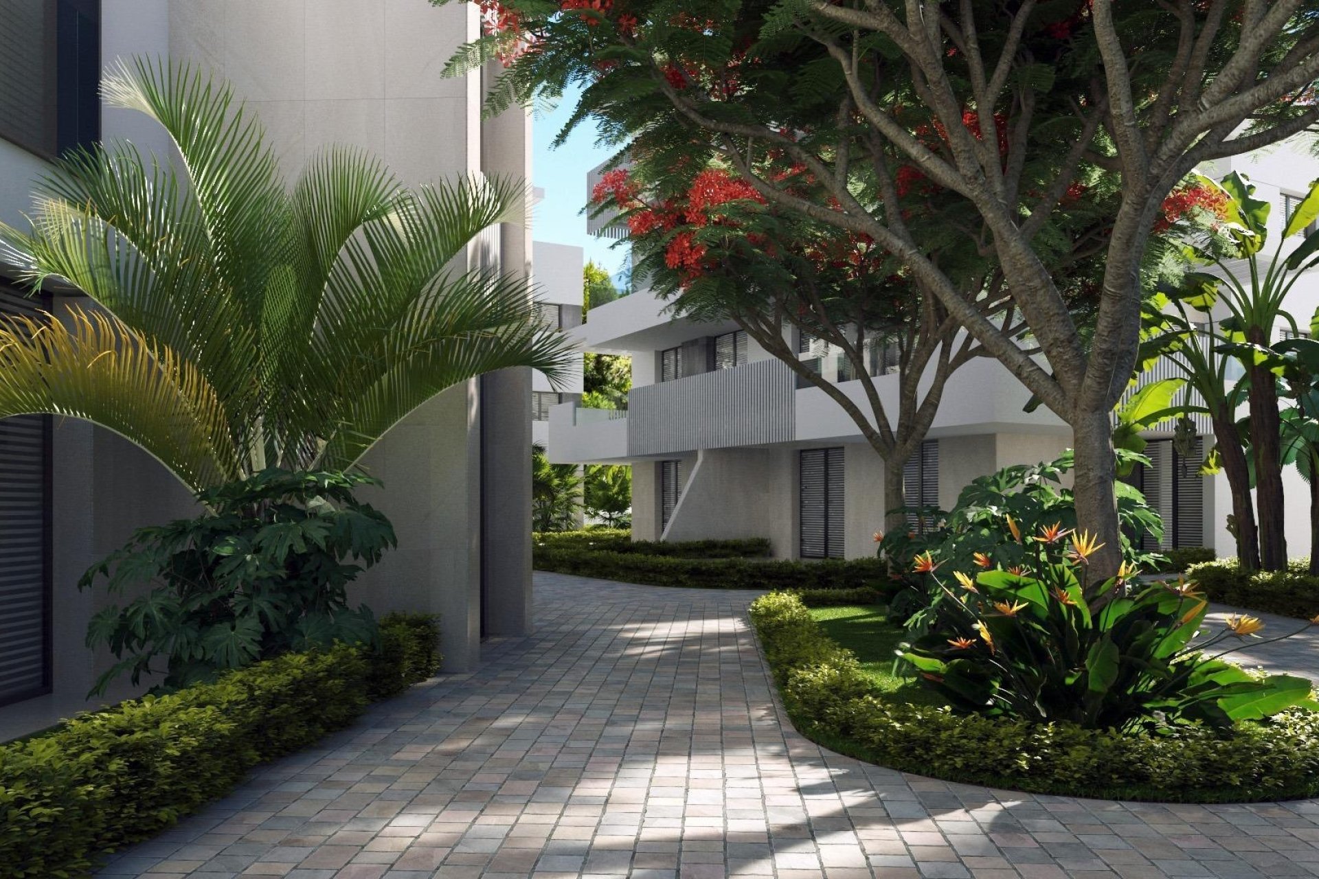 Nueva construcción - Apartamento - Torre Pacheco