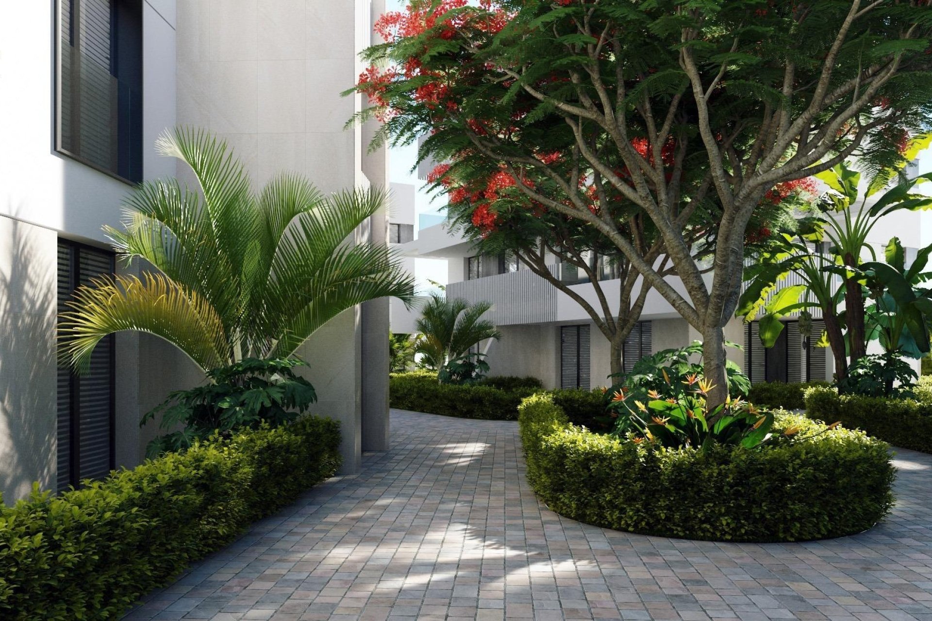 Nueva construcción - Apartamento - Torre Pacheco