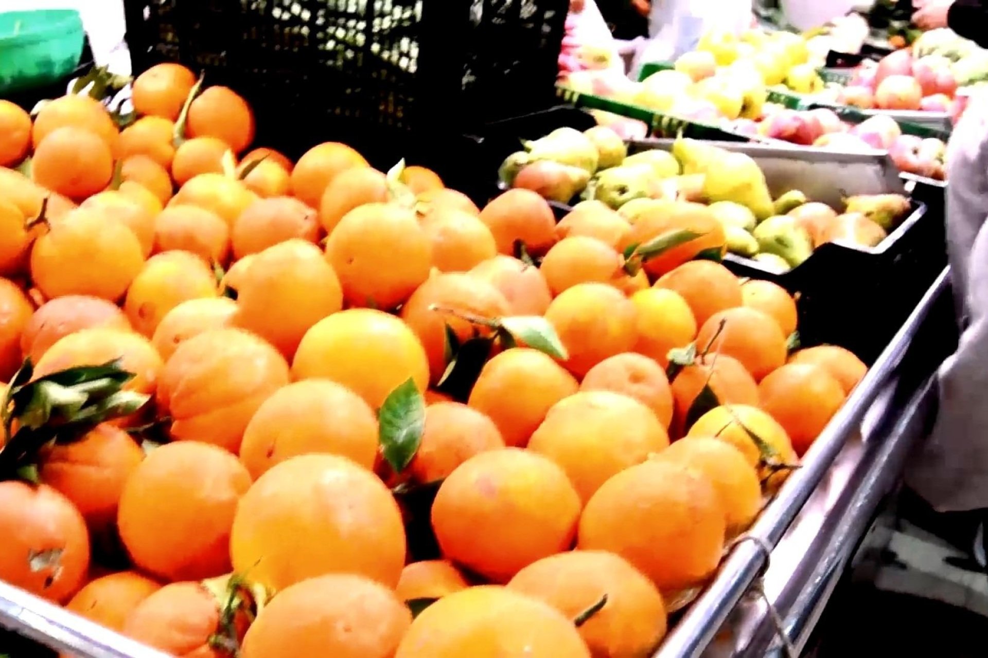 Nueva construcción - Apartamento - Torrevieja