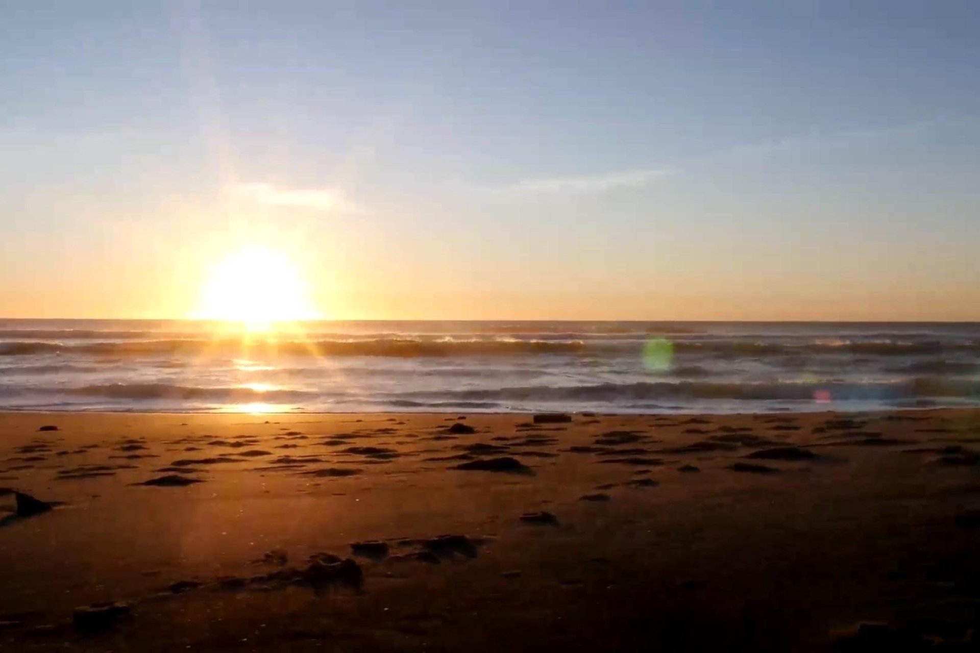 Nueva construcción - Apartamento - Torrevieja