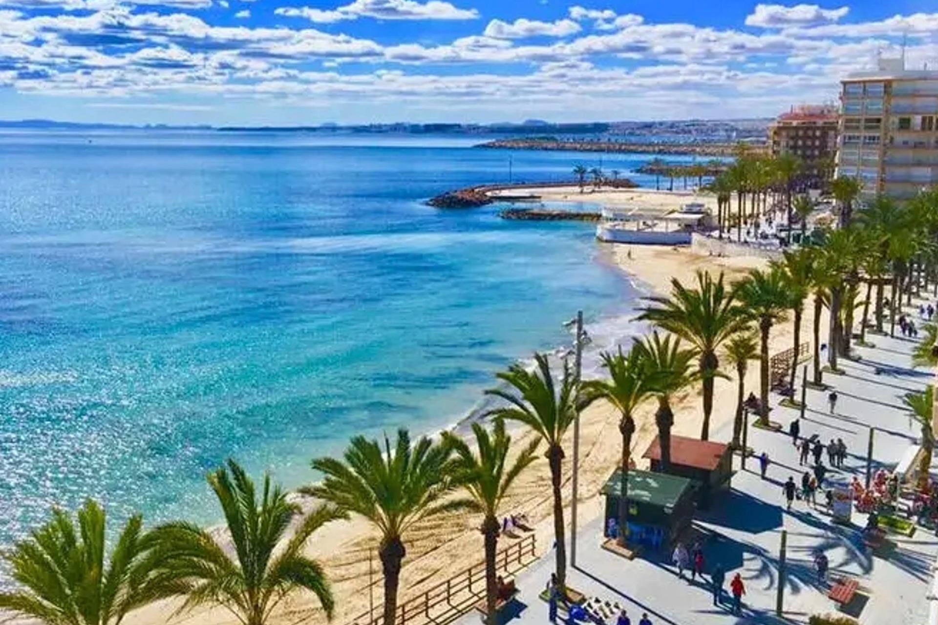 Nueva construcción - Apartamento - Torrevieja